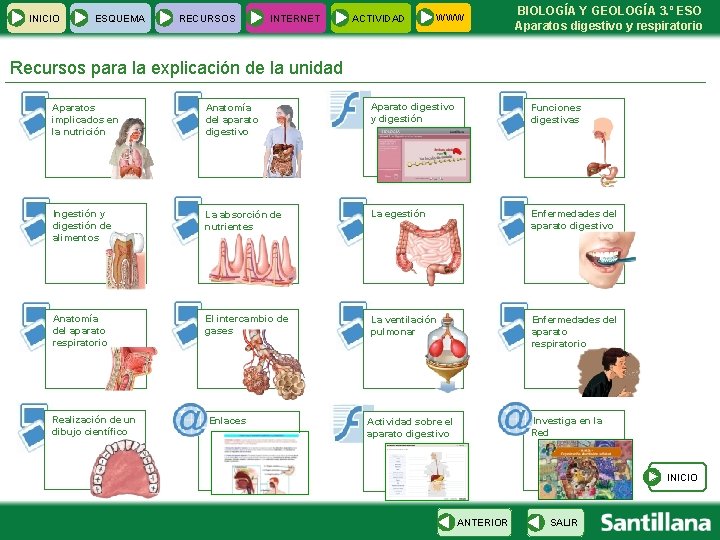 INICIO ESQUEMA RECURSOS INTERNET ACTIVIDAD WWW BIOLOGÍA Y GEOLOGÍA 3. º ESO Aparatos digestivo