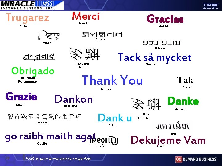 Merci Trugarez Gracias French Breton Spanish Korean Arabic Hebrew Tack så mycket Hindi Obrigado