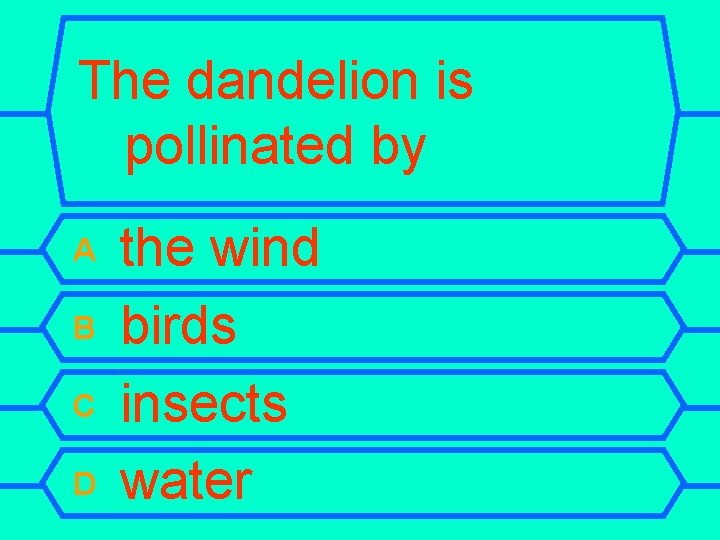 The dandelion is pollinated by A B C D the wind birds insects water