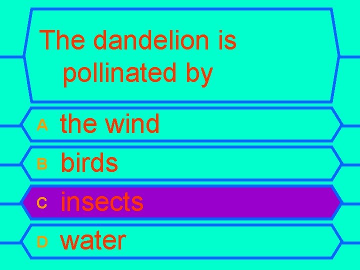 The dandelion is pollinated by A B C D the wind birds insects water