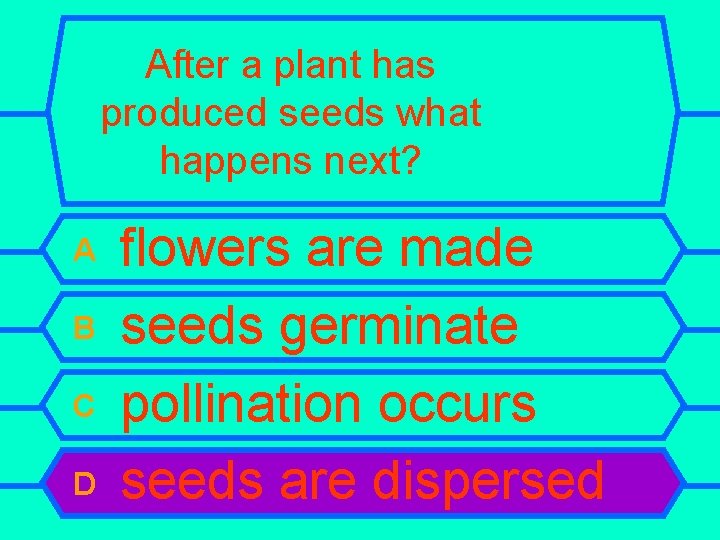 After a plant has produced seeds what happens next? A B C D flowers