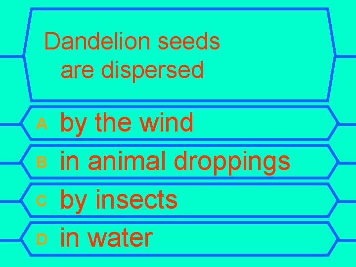 Dandelion seeds are dispersed A B C D by the wind in animal droppings