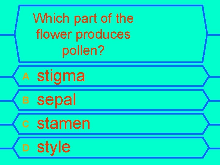 Which part of the flower produces pollen? A B C D stigma sepal stamen