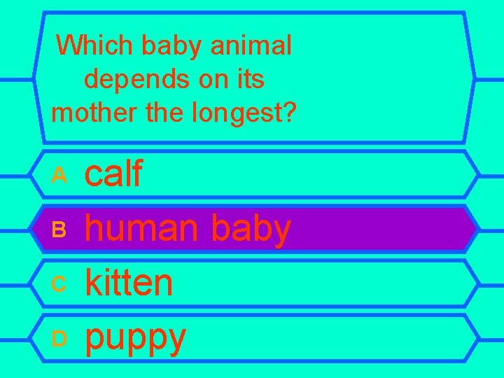 Which baby animal depends on its mother the longest? A B C D calf
