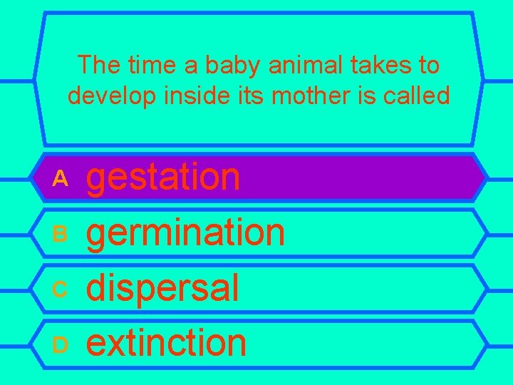 The time a baby animal takes to develop inside its mother is called A