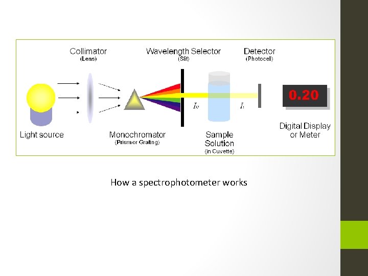 Beers Lambert Law and Standard Curves BCH 312
