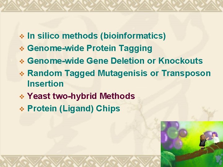 In silico methods (bioinformatics) v Genome-wide Protein Tagging v Genome-wide Gene Deletion or Knockouts