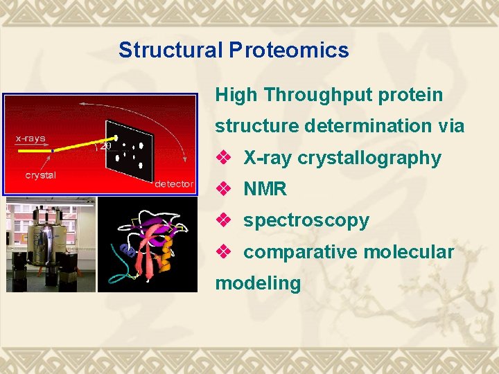 Structural Proteomics High Throughput protein structure determination via X-ray crystallography NMR spectroscopy comparative molecular