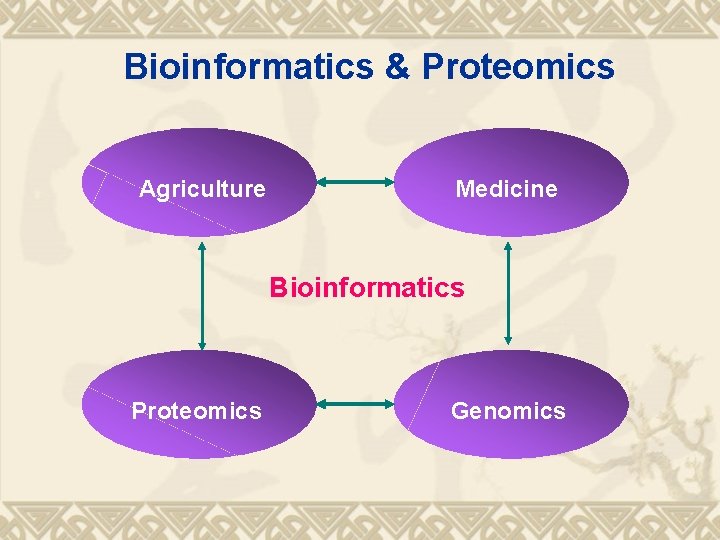 Bioinformatics & Proteomics Agriculture Medicine Bioinformatics Proteomics Genomics 