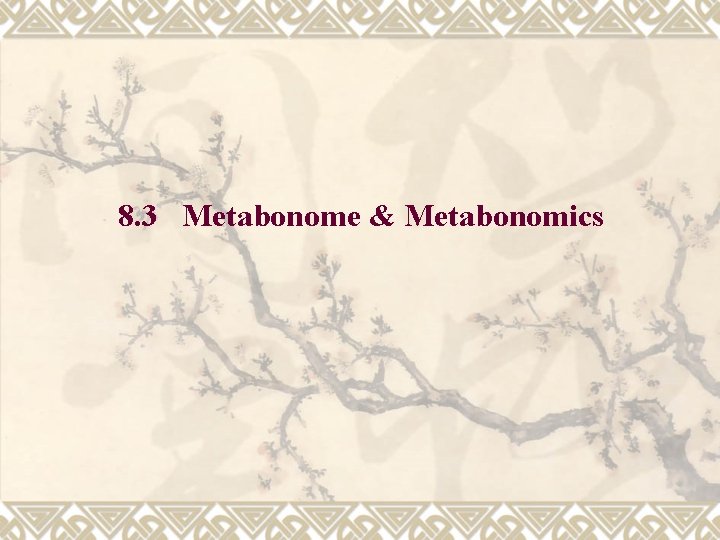 8. 3 Metabonome & Metabonomics 