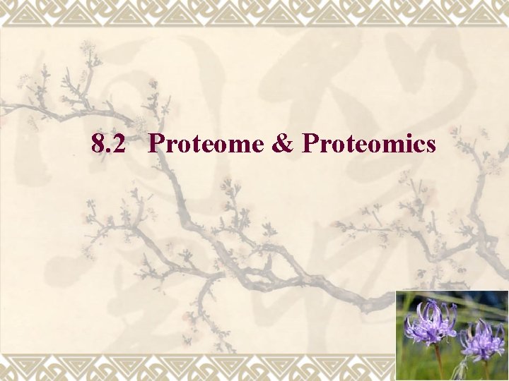 8. 2 Proteome & Proteomics 