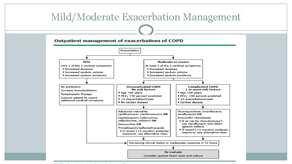 Mild/Moderate Exacerbation Management 