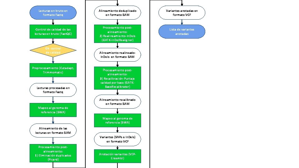 Lecturas en bruto en formato Fastq Control de calidad de las lecturas en bruto