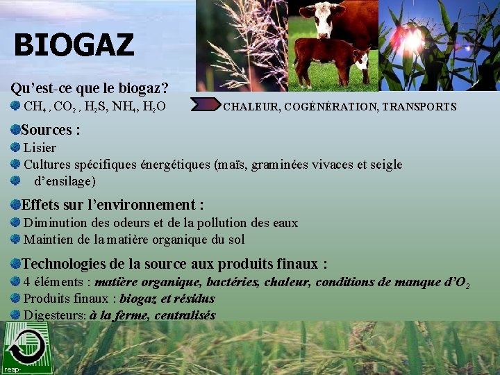 BIOGAZ Qu’est-ce que le biogaz? CH 4 , CO 2 , H 2 S,