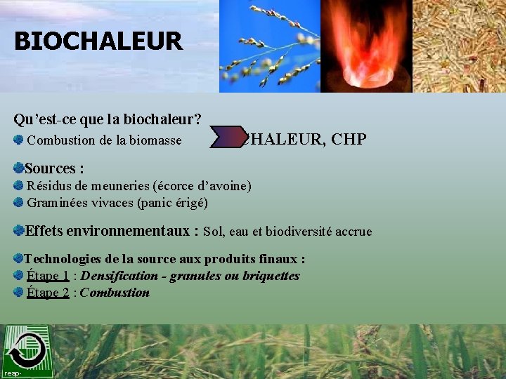 BIOCHALEUR Qu’est-ce que la biochaleur? Combustion de la biomasse CHALEUR, CHP Sources : Résidus