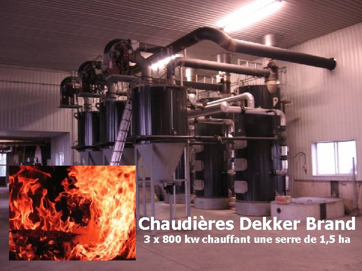 Chaudières Dekker Brand 3 x 800 kw chauffant une serre de 1, 5 ha