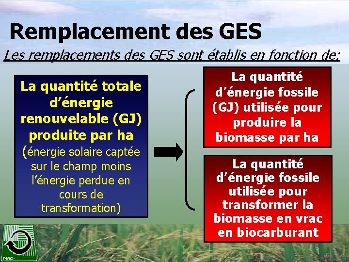 Remplacement des GES Les remplacements des GES sont établis en fonction de: La quantité