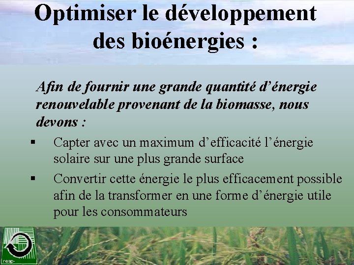 Optimiser le développement des bioénergies : Afin de fournir une grande quantité d’énergie renouvelable