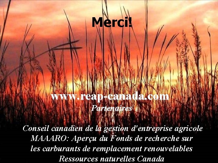 Merci! www. reap-canada. com Partenaires reap- Conseil canadien de la gestion d'entreprise agricole MAAARO: