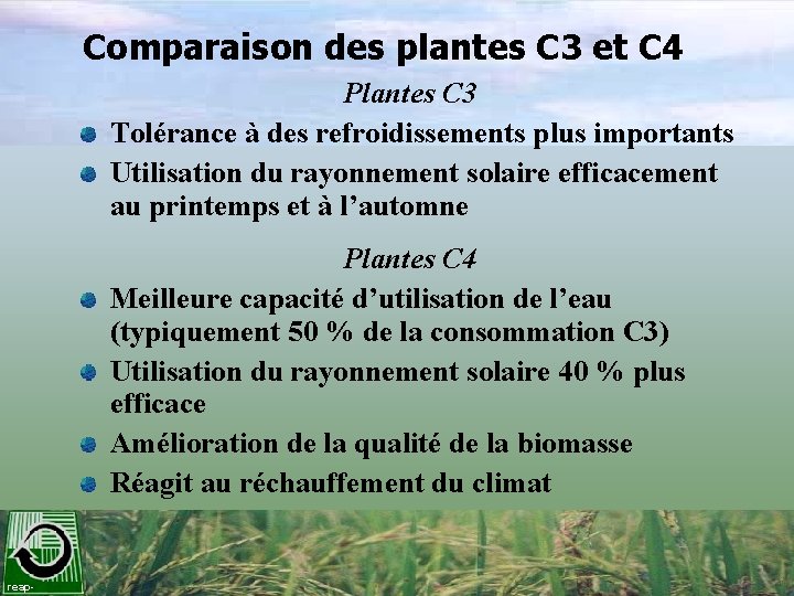 Comparaison des plantes C 3 et C 4 Plantes C 3 Tolérance à des