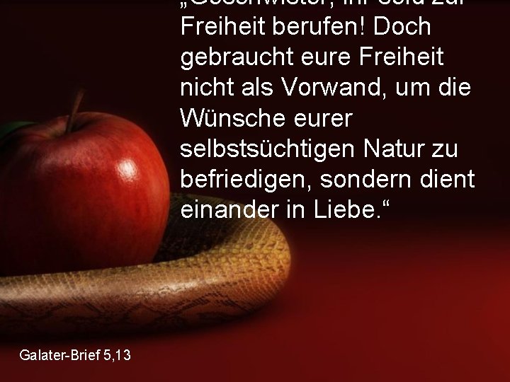 „Geschwister, ihr seid zur Freiheit berufen! Doch gebraucht eure Freiheit nicht als Vorwand, um