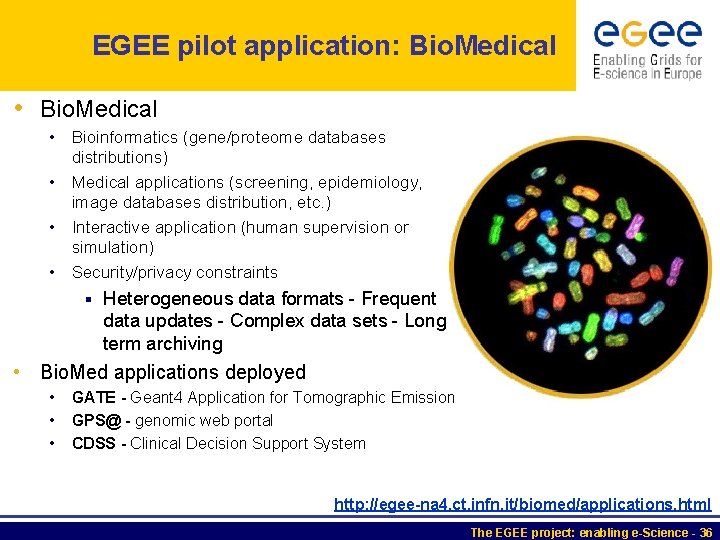 EGEE pilot application: Bio. Medical • Bioinformatics (gene/proteome databases distributions) • Medical applications (screening,