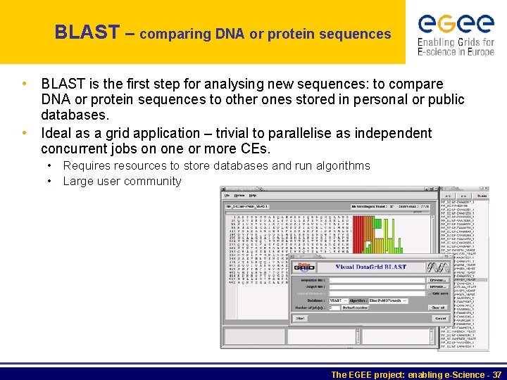 BLAST – comparing DNA or protein sequences • BLAST is the first step for