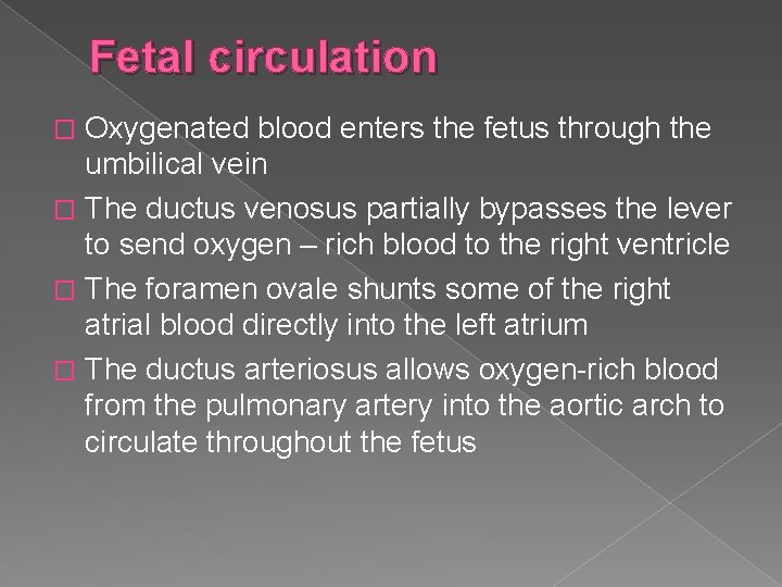 Fetal circulation Oxygenated blood enters the fetus through the umbilical vein � The ductus