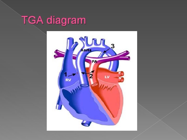 TGA diagram 