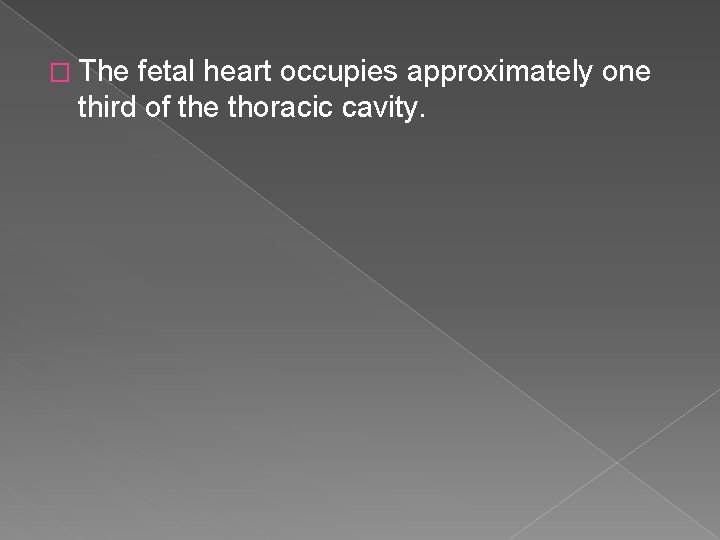 � The fetal heart occupies approximately one third of the thoracic cavity. 