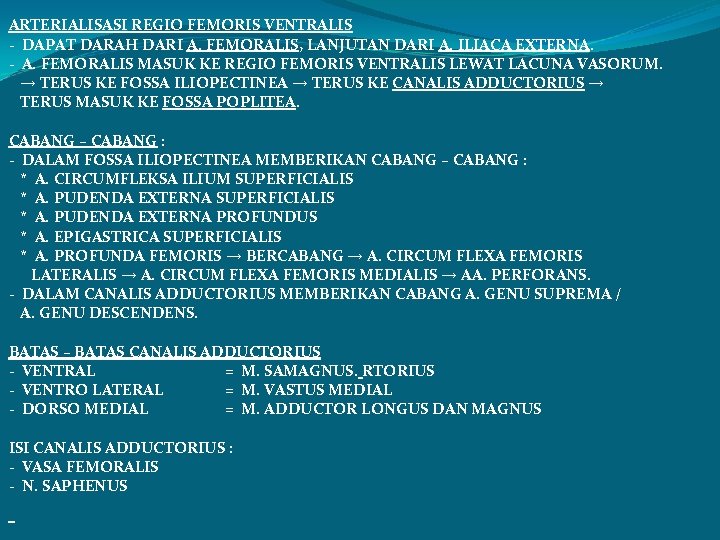 ARTERIALISASI REGIO FEMORIS VENTRALIS - DAPAT DARAH DARI A. FEMORALIS, LANJUTAN DARI A. ILIACA