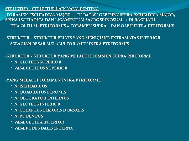 STRUKTUR – STRUKTUR LAIN YANG PENTING -FORAMEN. ISCHIADICA MAJOR → DI BATASI OLEH INCISURA