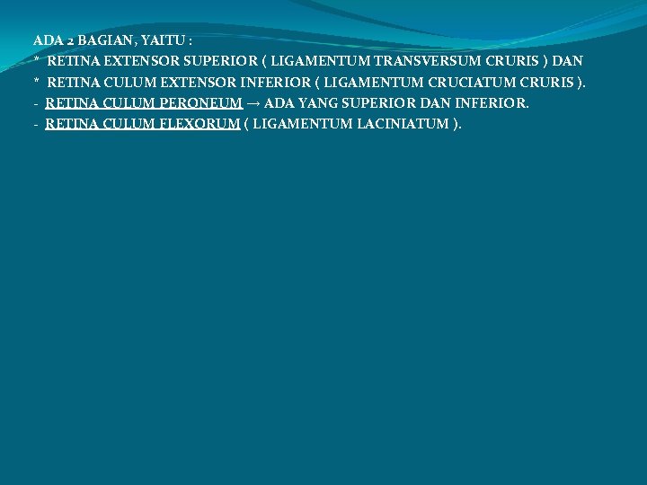 ADA 2 BAGIAN, YAITU : * RETINA EXTENSOR SUPERIOR ( LIGAMENTUM TRANSVERSUM CRURIS )