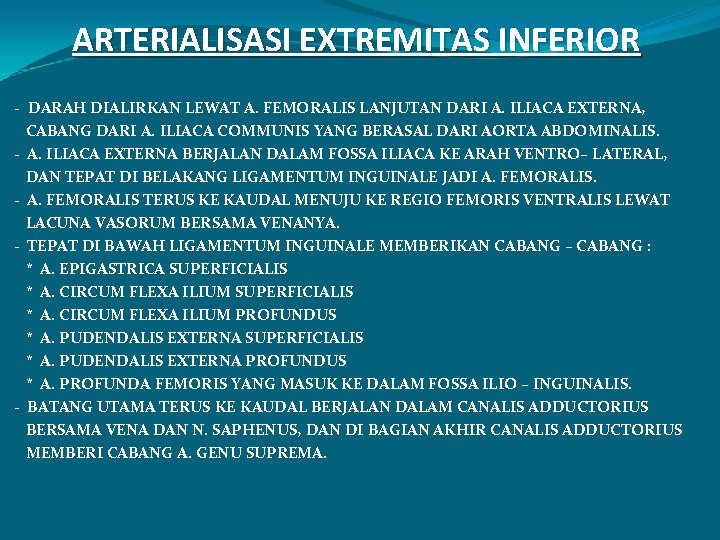 ARTERIALISASI EXTREMITAS INFERIOR - DARAH DIALIRKAN LEWAT A. FEMORALIS LANJUTAN DARI A. ILIACA EXTERNA,
