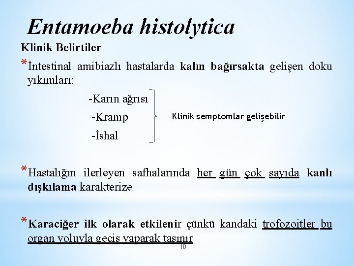 Entamoeba histolytica Klinik Belirtiler *İntestinal amibiazlı hastalarda kalın bağırsakta gelişen doku yıkımları: -Karın ağrısı