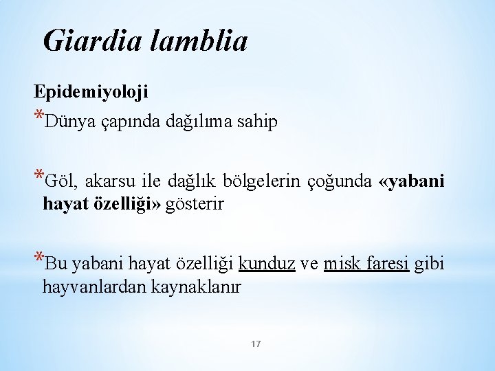 Giardia lamblia Epidemiyoloji *Dünya çapında dağılıma sahip *Göl, akarsu ile dağlık bölgelerin çoğunda «yabani