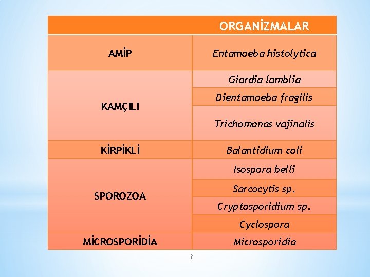 ORGANİZMALAR AMİP Entamoeba histolytica Giardia lamblia Dientamoeba fragilis KAMÇILI Trichomonas vajinalis KİRPİKLİ Balantidium coli