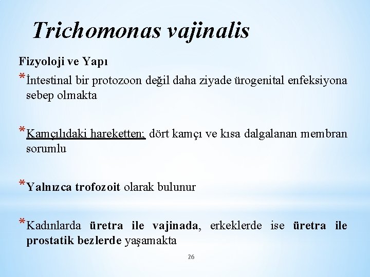 Trichomonas vajinalis Fizyoloji ve Yapı *İntestinal bir protozoon değil daha ziyade ürogenital enfeksiyona sebep