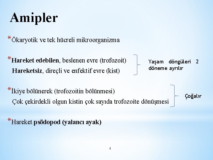 Amipler *Ökaryotik ve tek hücreli mikroorganizma *Hareket edebilen, beslenen evre (trofozoit) trofozoit Hareketsiz, direçli