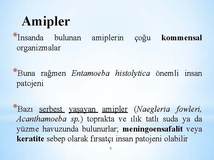 Amipler *İnsanda bulunan organizmalar amiplerin çoğu kommensal *Buna rağmen Entamoeba histolytica önemli insan patojeni