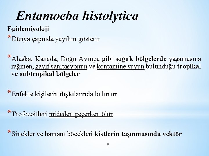 Entamoeba histolytica Epidemiyoloji *Dünya çapında yayılım gösterir *Alaska, Kanada, Doğu Avrupa gibi soğuk bölgelerde