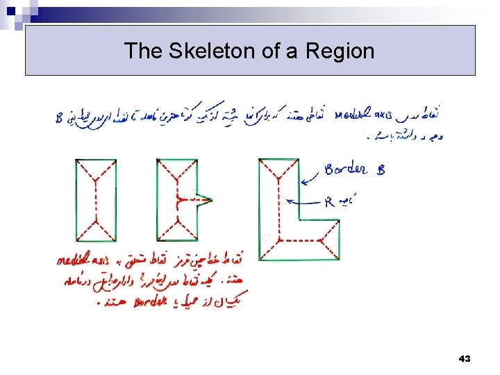 The Skeleton of a Region 43 The Skeleton of a Region 43