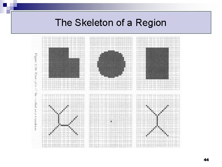 The Skeleton of a Region 44 The Skeleton of a Region 44