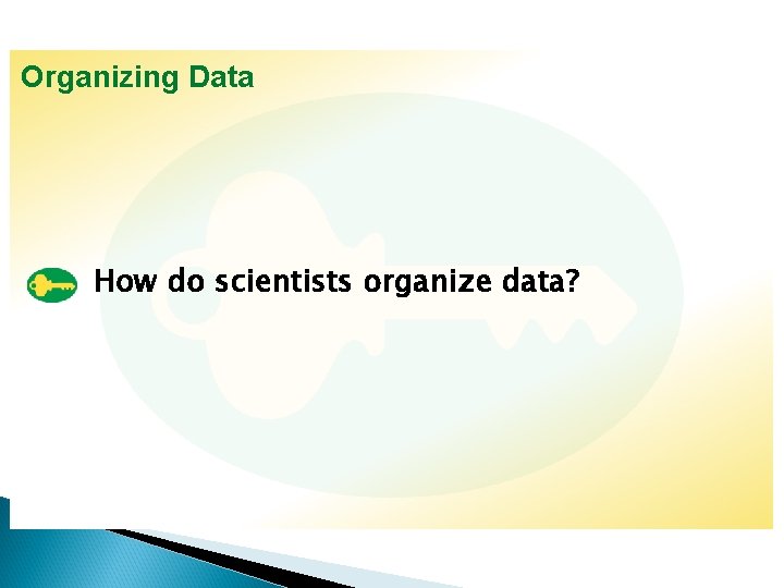 Organizing Data How do do scientists organize data? 