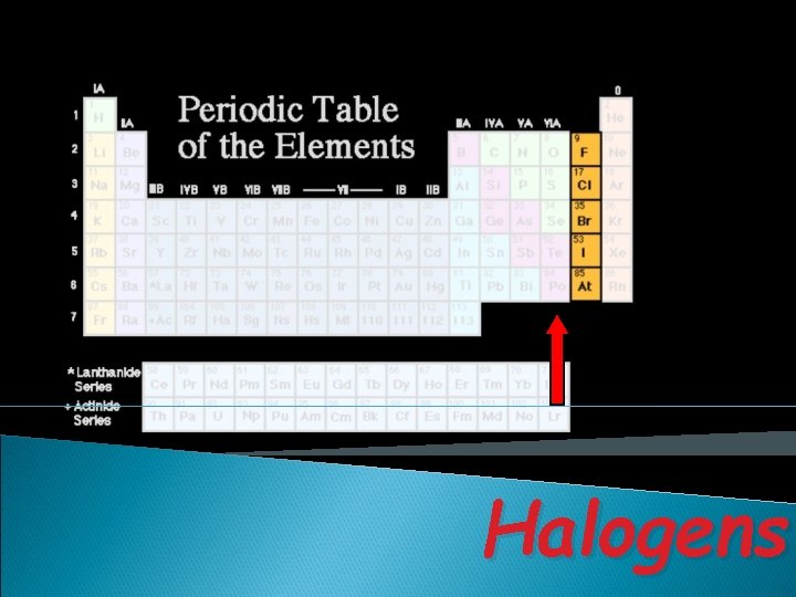 Halogens 