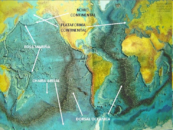 NOIRO CONTINENTAL PLATAFORMA CONTINENTAL FOSA MARIÑA CHAIRA ABISAL DORSAL OCEÁNICA viaxeaitaca. blogaliza. org 