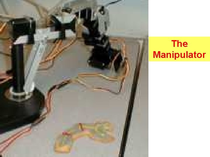 The Manipulator E The Manipulator E