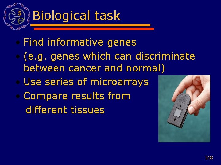 Biological task • Find informative genes • (e. g. genes which can discriminate between