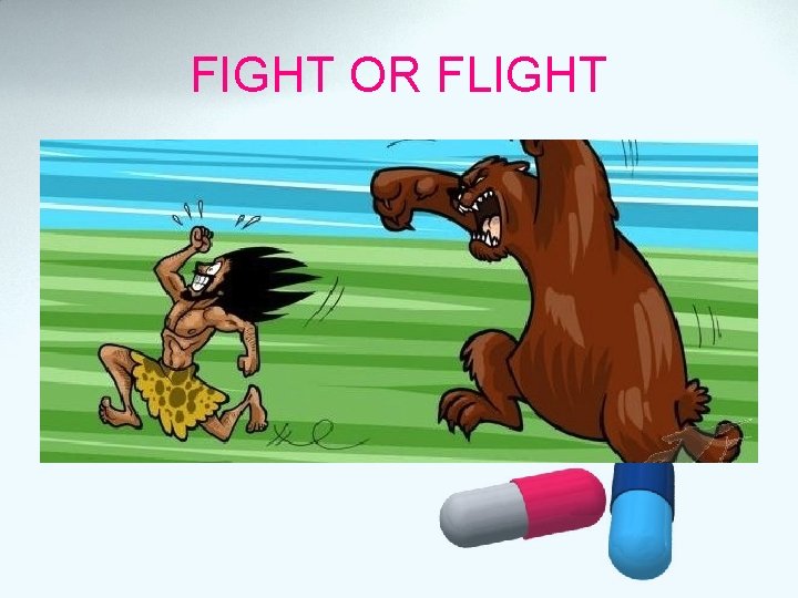 FIGHT OR FLIGHT 