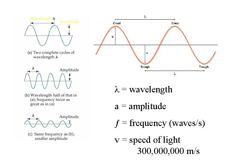 λ = wavelength a = amplitude ƒ = frequency (waves/s) v = speed of